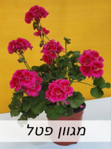 Created with GIMP